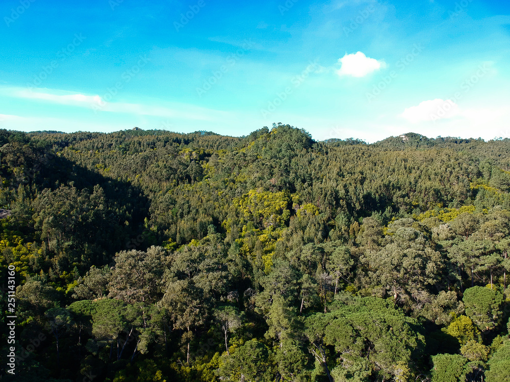 Aerial view of forest in a mountain. Drone shot. Sintra Portugal