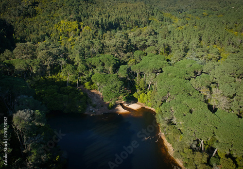 Aerial top view from a lake surrounded by trees. Drone shot.