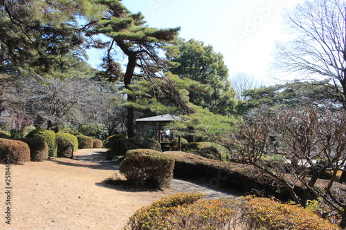 大宮公園の日本庭園