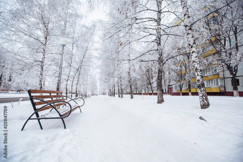 winter city walkway with benches