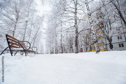 winter city walkway with benches photo