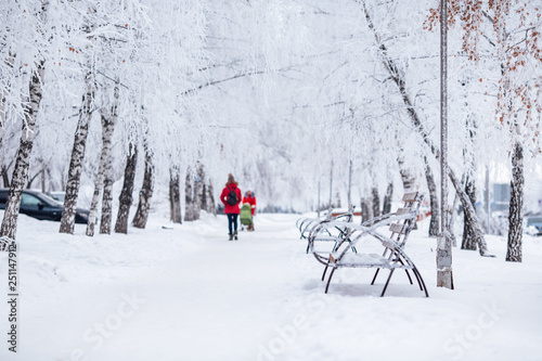 winter city walkway with benches photo