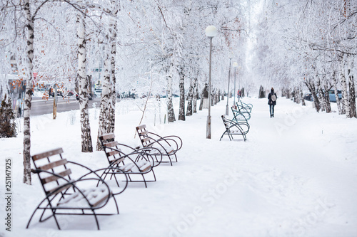 winter city walkway with benches photo