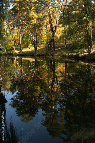 Fototapeta Naklejka Na Ścianę i Meble -  reflection of trees in lake , autumn
