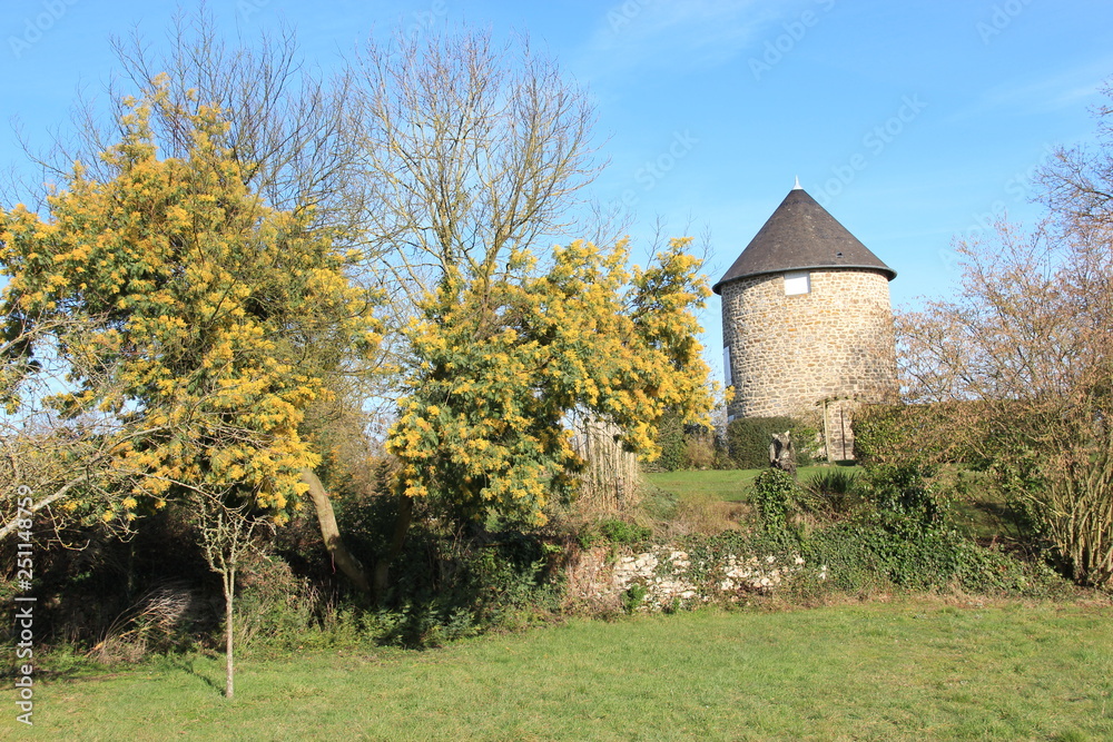 Moulin à vent, Mont-Dol
