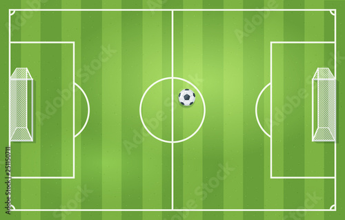 Soccer or football game field