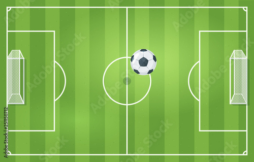 Soccer or football game field