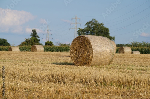 hay bale
