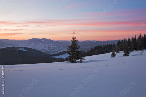 wonderful winter landscape of the Carpathians with a fantastic sunset overlooking the snow-capped Carpathian peaks. charming colors of the evening sky against the background of the winter Carpathians © ihorhvozdetskiy