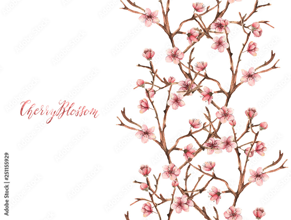 Obraz premium Cherry blossom,Watercolor spring illustration,card for you,handmade, flowers, twigs, buds