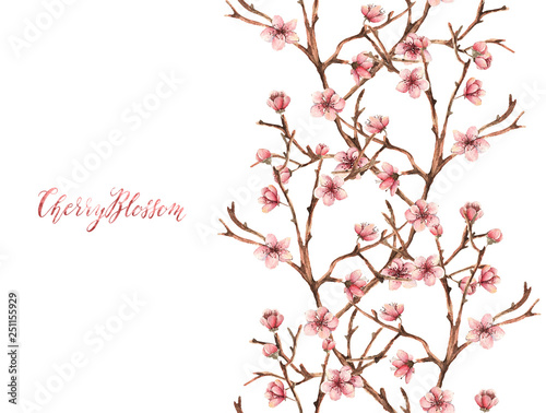 Cherry blossom,Watercolor spring illustration,card for you,handmade, flowers, twigs, buds