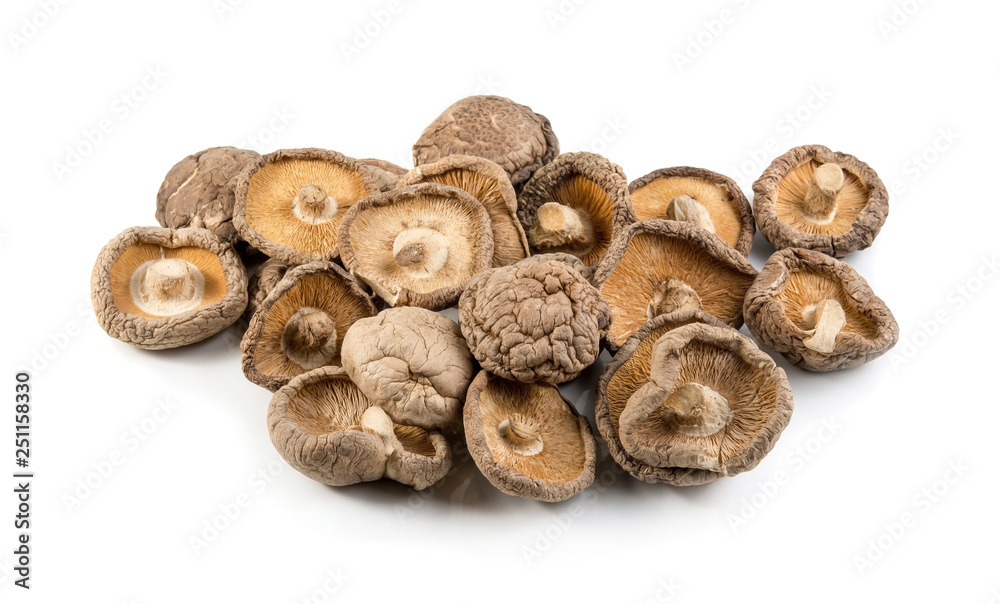 mushroom mushroom