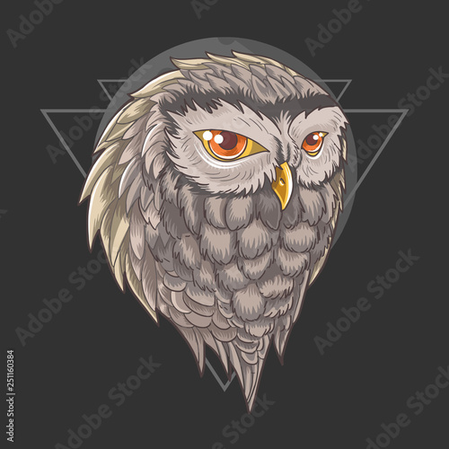 Owl Bird wisdom vector