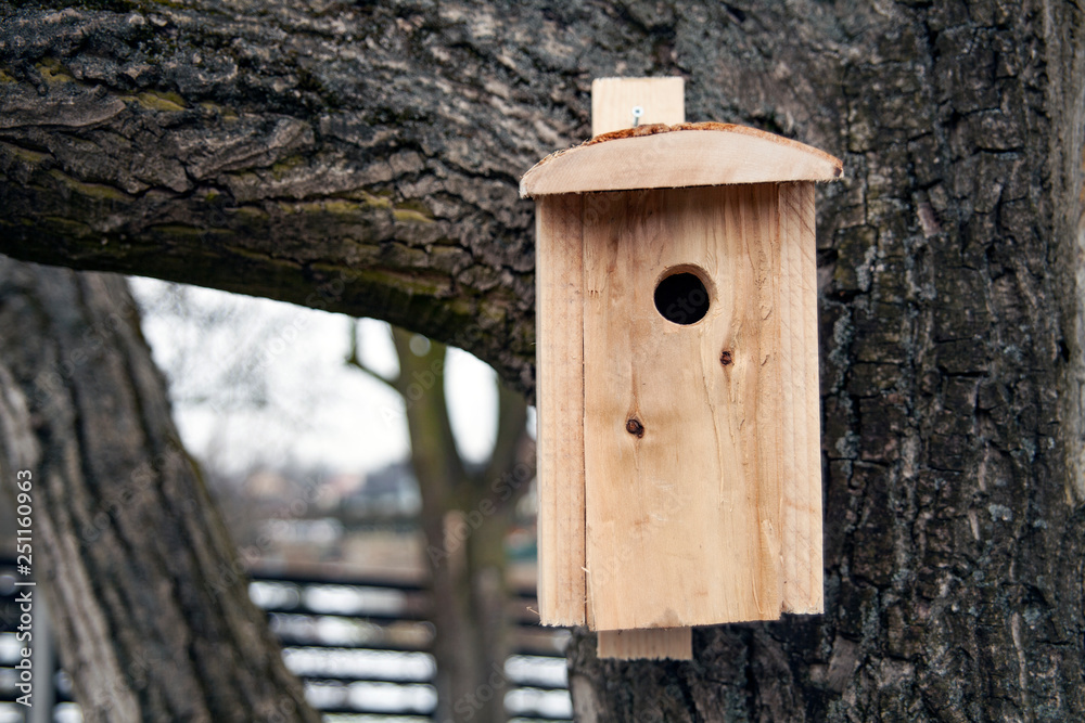 Shed for birds on trees. Wooden birdhouse on the tree.