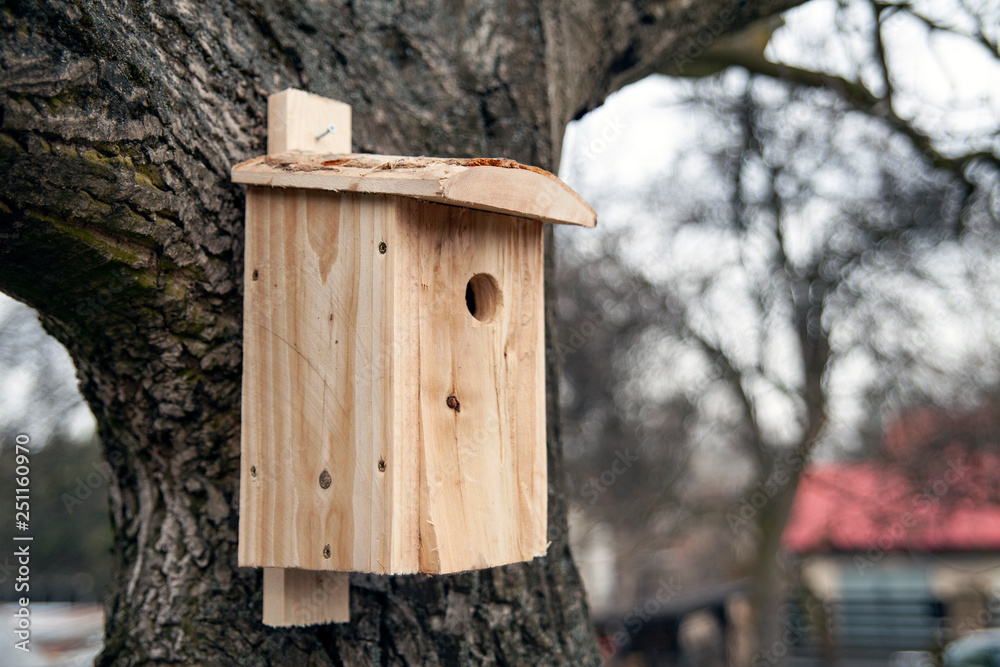 Shed for birds on trees. Wooden birdhouse on the tree.