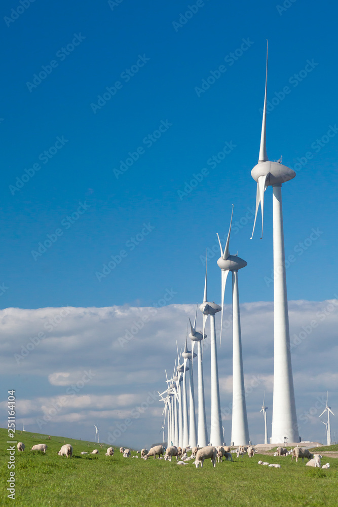 Wind farm