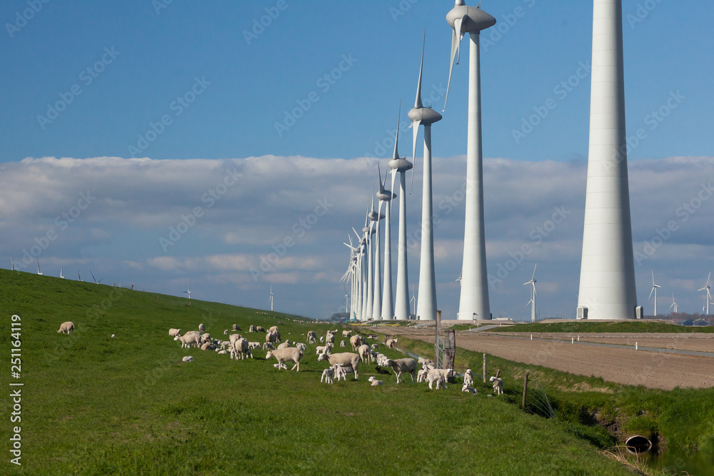 Wind farm