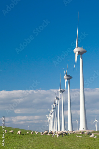 Obraz na płótnie Wind farm w salonie