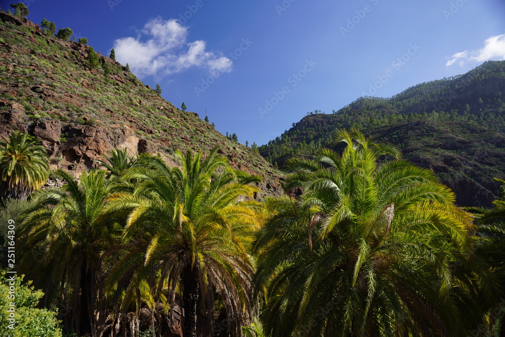 Obraz premium Gran Canaria - Mountains