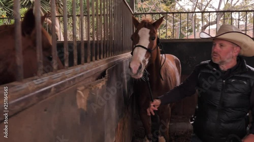 Horseman taking a horse out of the stable photo