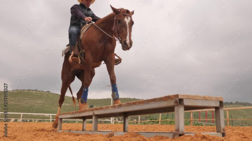 Horseman with horse during obstacle training Horseman with horse during obstacle training