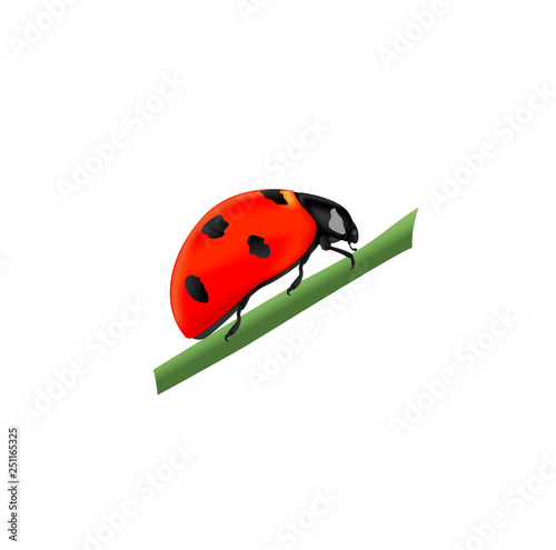 Red ladybug sitting on a green branch, side view