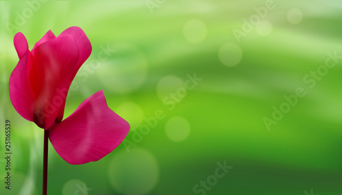 Closeup of flower on bokeh green natural background. Beautiful template for banners or cards design. Vector