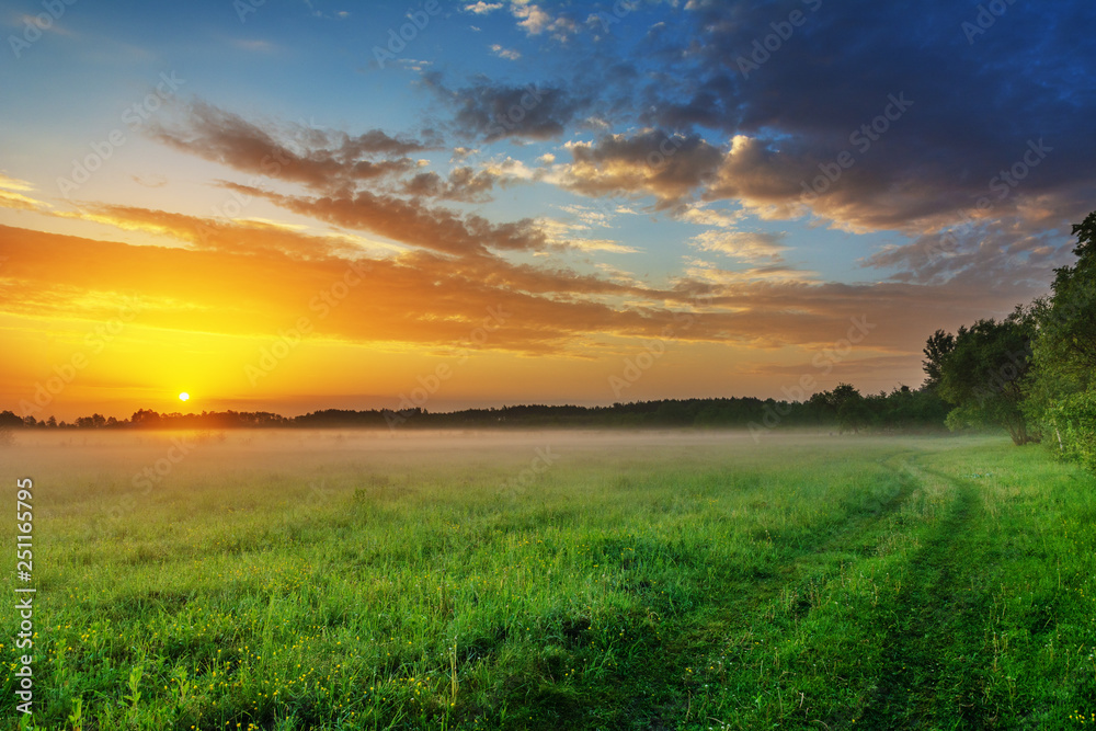 Wonderful spring dawn with morning fog and rustic pastures on the background of a beautiful warm sky, green fragrant grass and young leaves on trees