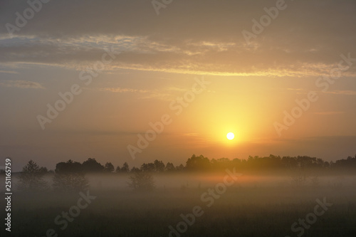 Wonderful spring dawn with morning fog and rustic pastures on the background of a beautiful warm sky, green fragrant grass and young leaves on trees © reme80