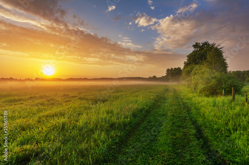 Wonderful spring dawn with morning fog and rustic pastures on the background of a beautiful warm sky, green fragrant grass and young leaves on trees