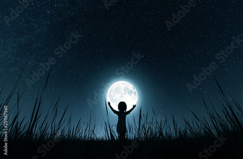 Fototapeta Naklejka Na Ścianę i Meble -  Girl holding the moon in starry night,3d rendering