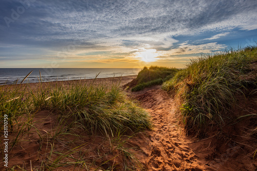 Fotografía sunset over sand dunes