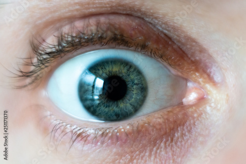 Close-up on male green wide open eye photo