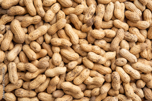 Peanuts harvested in Chiba, Japan