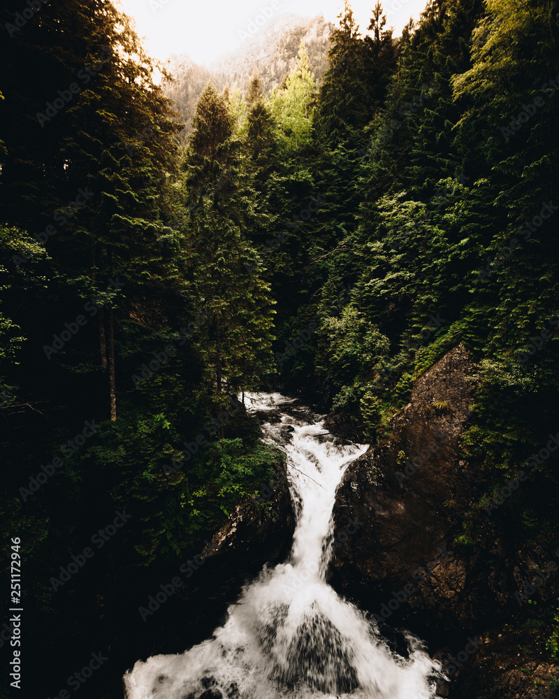 Waterfall among forrest