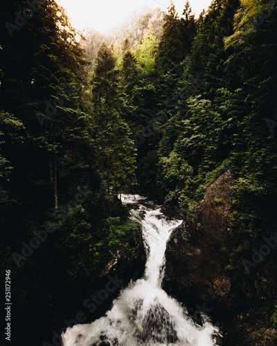 Obraz na płótnie Waterfall among forrest w salonie