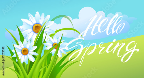 Spring time. Handwritten calligraphy lettering with grass background. Vector image. photo