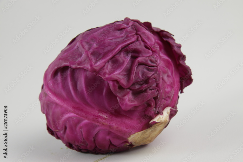 Fototapeta premium a purple cabbage