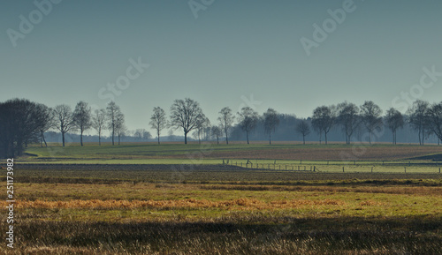 Harvested Field in February