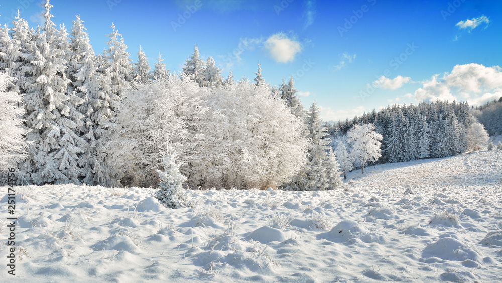 Did you mean: Iarna în Munţii Apuseni - Transilvania, Romania 47/5000 Winter in Apuseni Mountains - Transylvania, Romania Send feedback History Saved Community Did you mean: Iarna în Munţii Apuseni - Transilvania, Romania 47/5000 Winter in Apuseni Mountains - Transylvania, Romania Send feedback History Saved Community