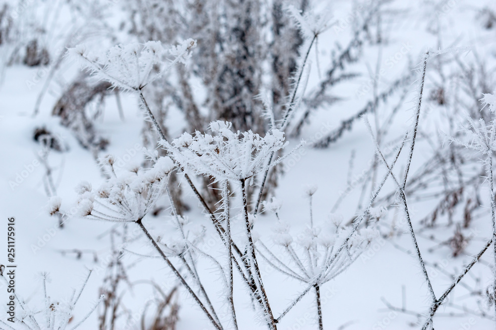 Winter weather. It covers everything in the yard. Winter weather. It covers everything in the yard.