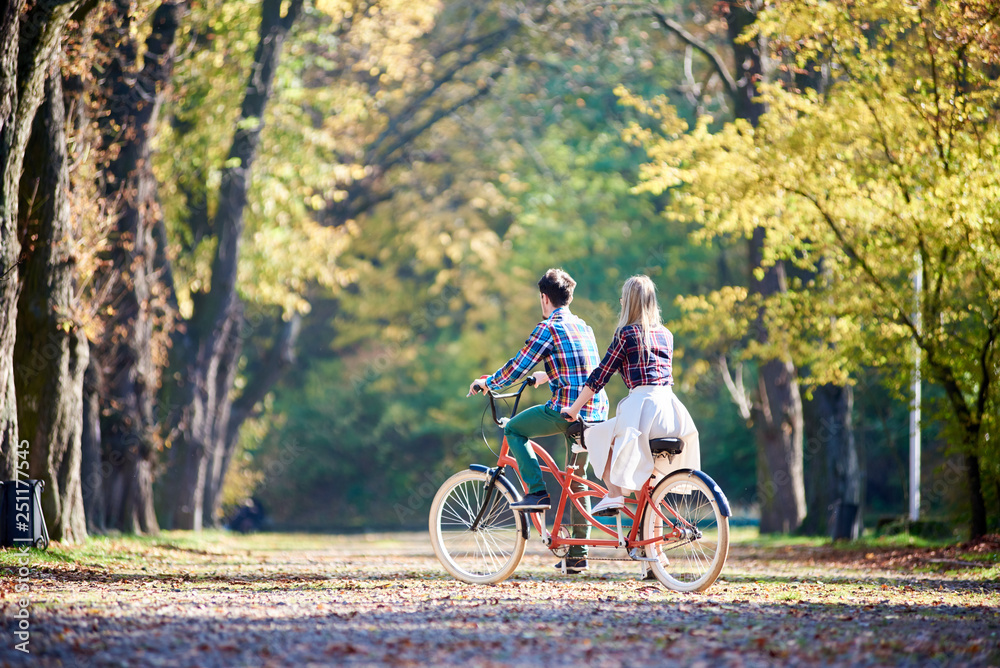 Fototapeta premium Back view of young romantic couple, man and blond woman cycling red tandem bike along autumn park or forest alley lit by bright sun and covered with golden leaves on green and yellow trees background.