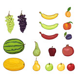 Vector Set of Cartoon Fruits. Grapes, Melon, Watermelon, Pear, Apple, Banana, Apricot, Peach, Plum, Pomegranate.