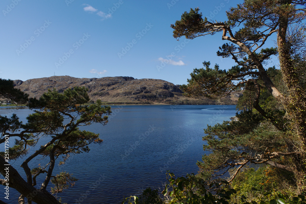 Loch Ewe view