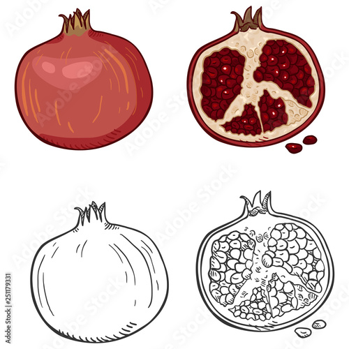 Vector Set of Cartoon and Sketch Pomegranates