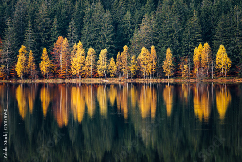 Fototapeta Naklejka Na Ścianę i Meble -  autumn landscape with lake and trees