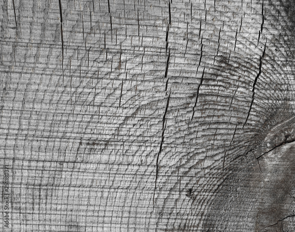 Fototapeta premium Texture of old rough wood. Abstract background for design. Vintage retro