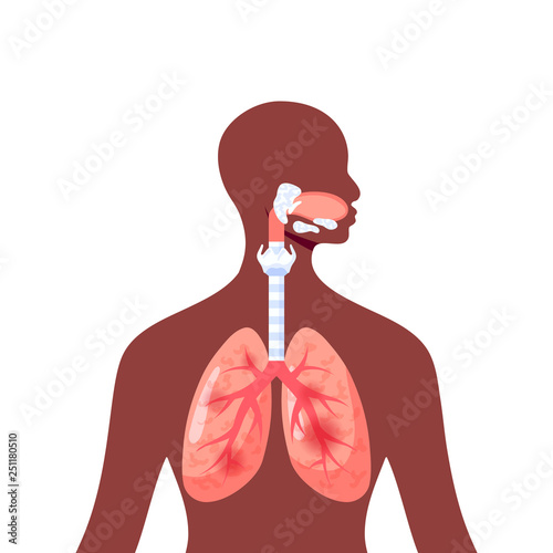 Irritated lungs vector icon in flat style