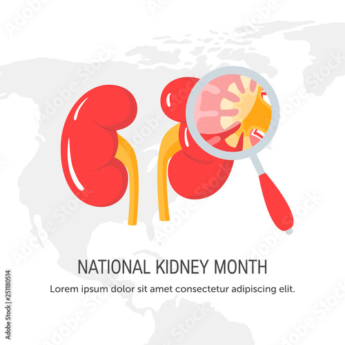 National kidney month concept in flat style