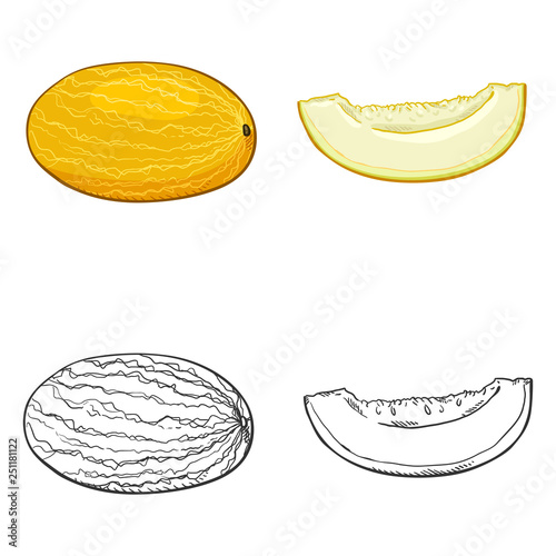 Vector Set of Sketch and Cartoon Melons